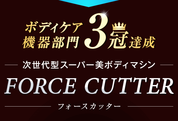 フォースカッター★正規プロラボ★価格2300000円★動作良好 1台4役の進化型スーパー美ボディマシン：フォースカッター